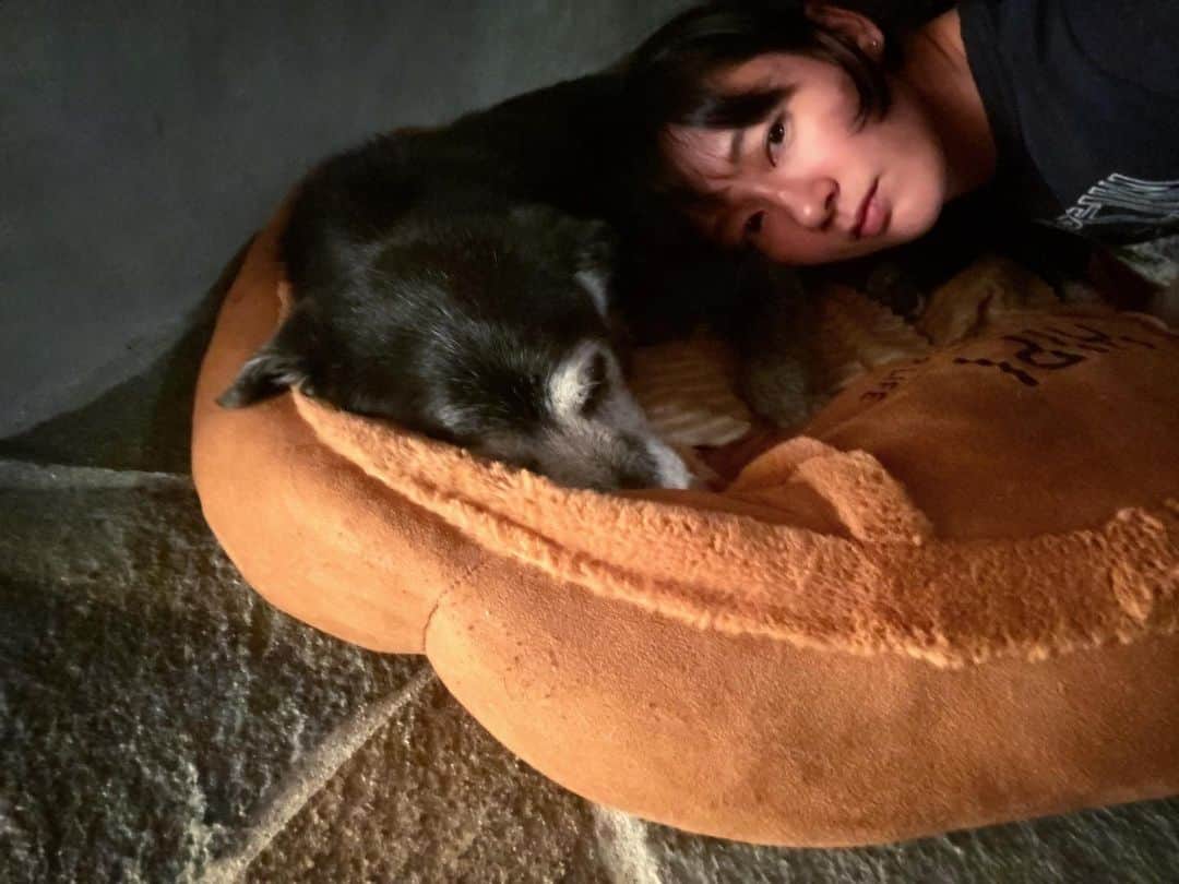 水川あさみのインスタグラム：「昨日の久しぶり〜ジョジョ。 ジョジョはどんどん仙人のようになってるね。みんなが話すこともぜーんぶ分かってるし。かっこいい。 眠いのに何回もハグしてごめん。笑 会えてうれしかったよー🐶」