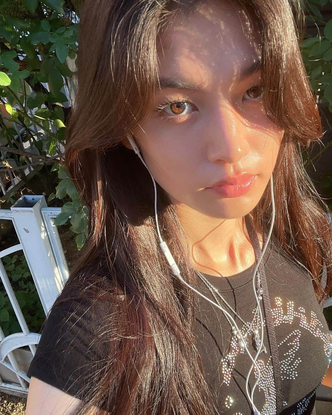 のインスタグラム：「🦁」