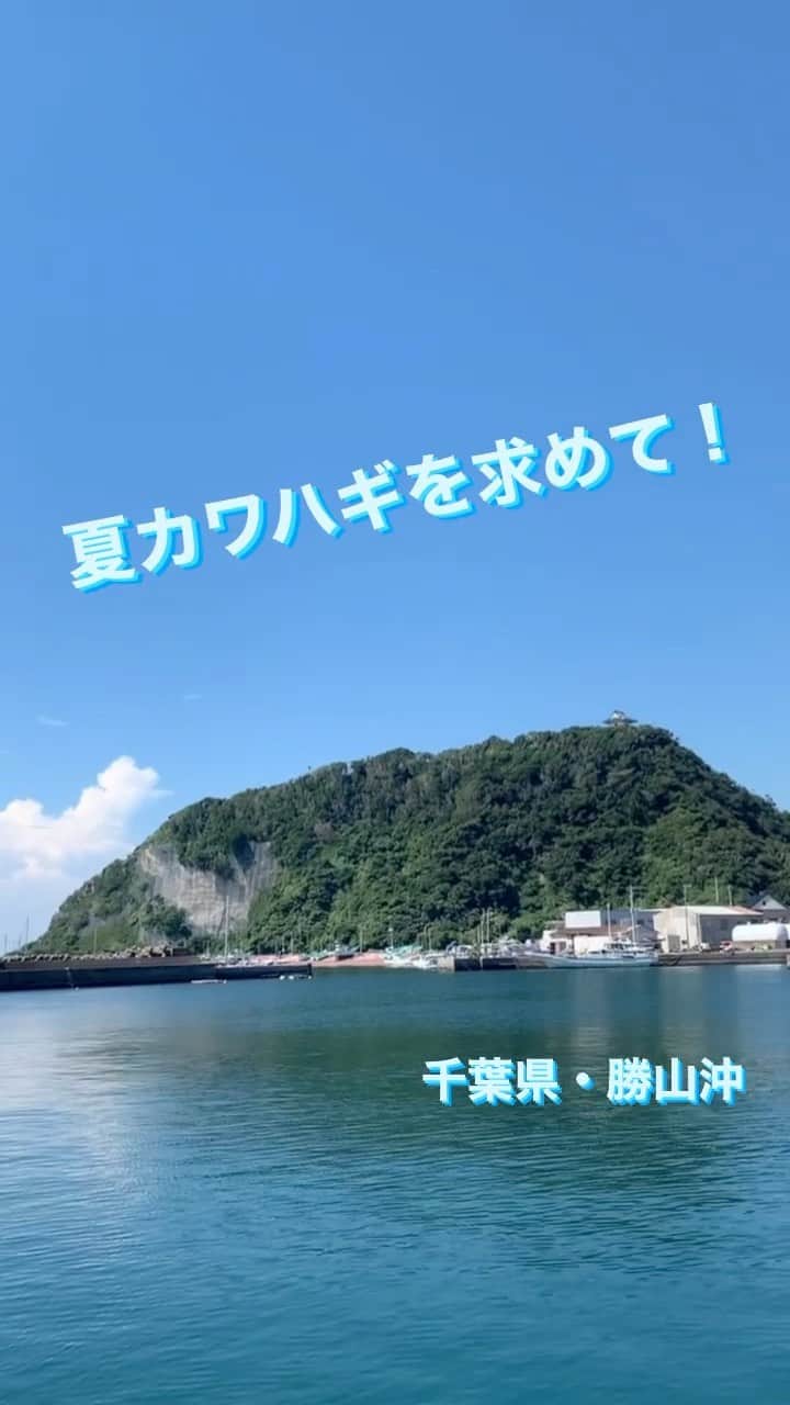 長沢裕のインスタグラム：「【お知らせ！】  2022年9月1日夜10:00〜放送予定 BS-TBS 『釣り百景』 千葉県・勝山沖  夏のカワハギ釣りを徹底攻略！  #釣り百景#釣り#カワハギ #シマノロッド #シマノリール #夏カワハギ」