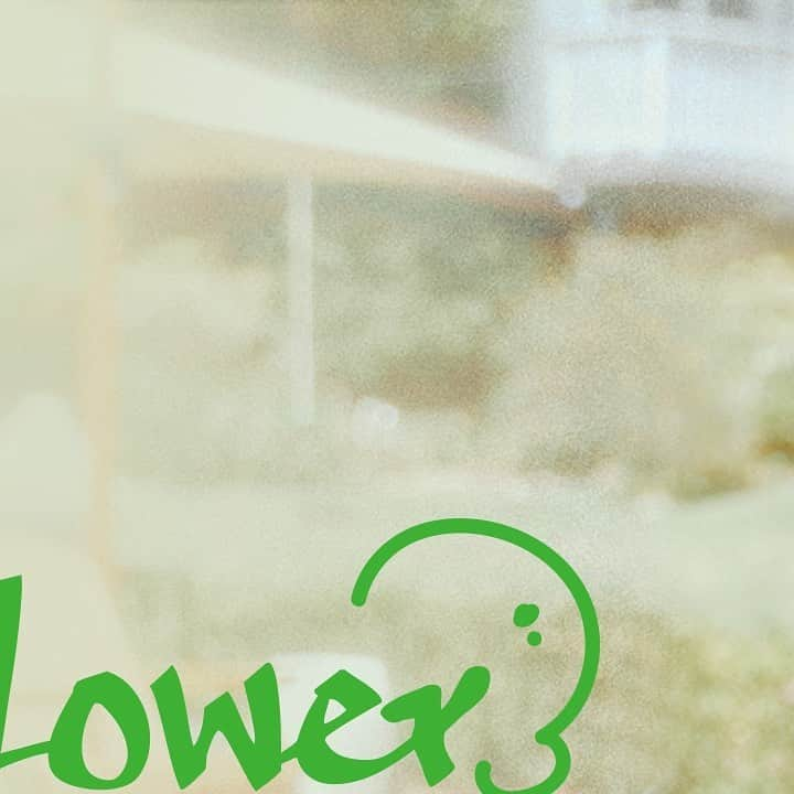 Weki Mekiさんのインスタグラム写真 - (Weki MekiInstagram)「[#최유정] CHOI YOOJUNG 1st Single Album <Sunflower> Concept Photo ① - Lovely ver. 🌻  2022. 09. 14 6PM (KST) RELEASE  #CHOIYOOJUNG #Sunflower #선플라워 #Sunflower_PEL #WekiMeki #위키미키」9月1日 14時01分 - weki_meki