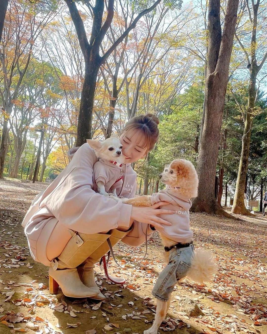 堀尾実咲のインスタグラム：「HAPPYBITHDAYロア🐰🎂  みんなに愛されてるお姫さま👸 5歳になりました🐾  #愛犬 #チワワ #誕生日」