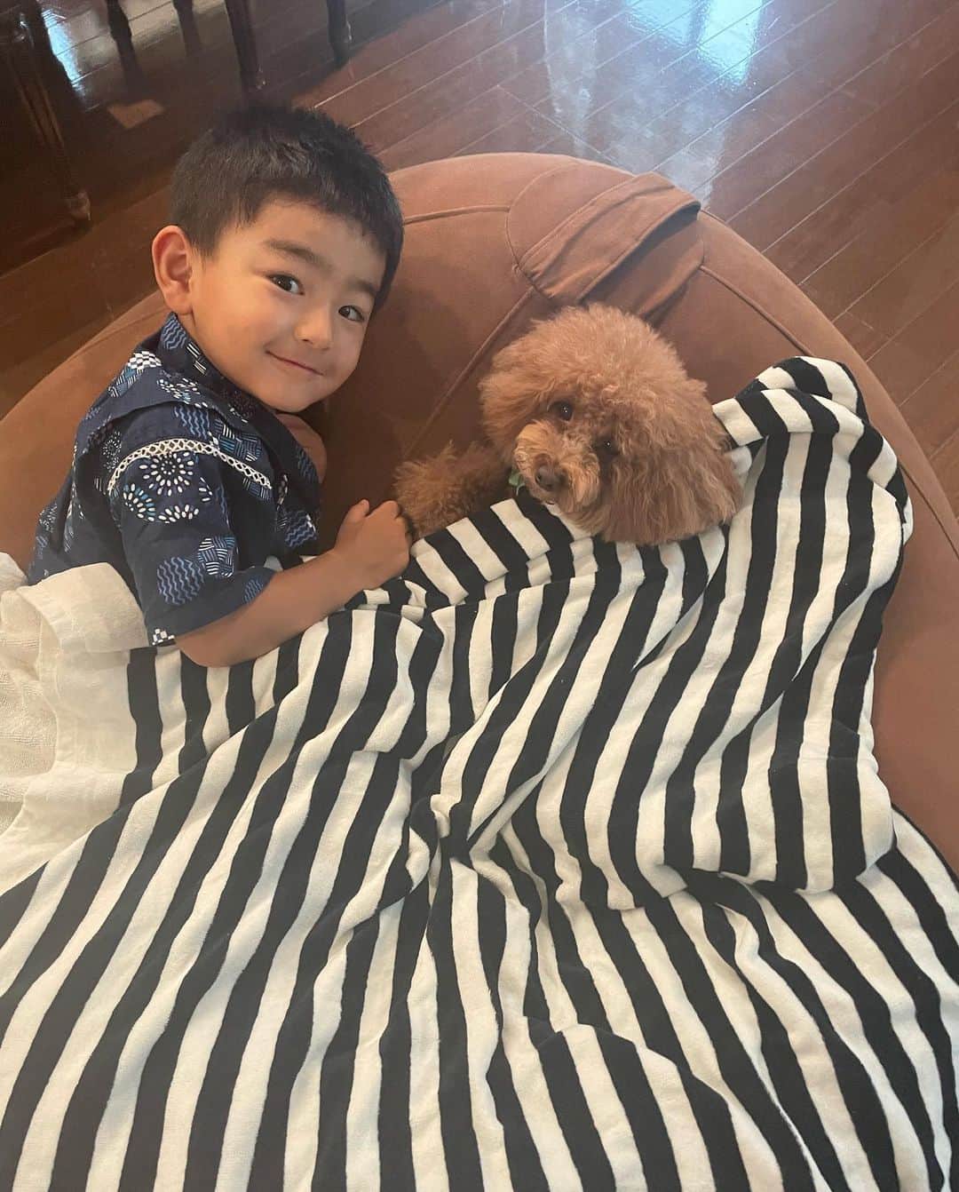 知念芽衣のインスタグラム：「おはよう、新学期〜💦  朝からサニー氏ラブの息子🐩❣️  仲良しに見えて、 サニーがう〜って言ってる😂 で、逃げられた😂  あと少しで、 恐怖の登園😭😂 母、どきどき、、っていうか、 なんか、子供時代の夏休み明けの嫌な感じを思い出し、私も泣きたい😭  夏休み終わって、 息子との時間が減るのが寂しいな😭  #2歳10か月  #2歳男の子  #dogstagram #toypoodle」