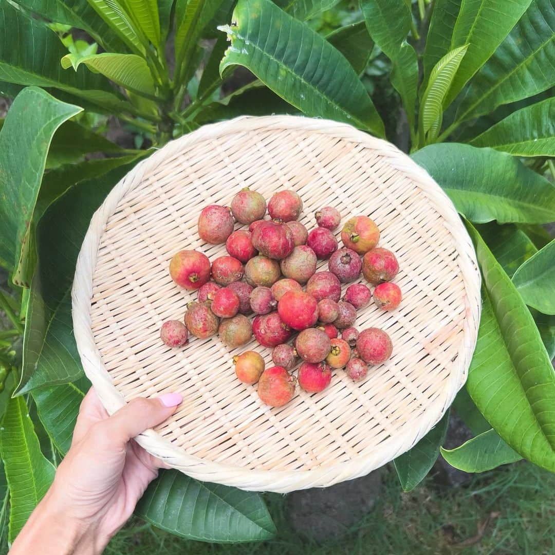 吉川ひなのさんのインスタグラム写真 - (吉川ひなのInstagram)「guava season♡」9月1日 9時30分 - hinanoyoshikawa