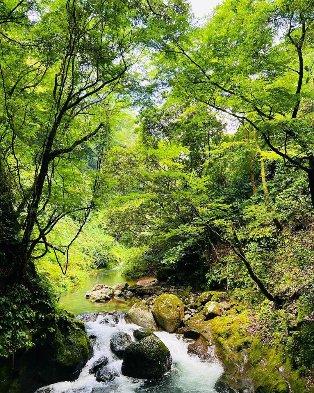 平祐奈のインスタグラム：「🌾🌾🌾 夏の思い出をしっかり納めて 秋も存分に楽しもーっ！🍂  よろしくっ9月。 台風お気をつけてください🌀」