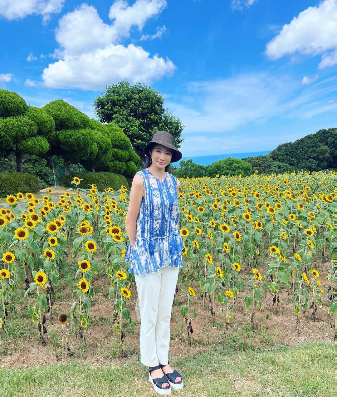 島津久美子のインスタグラム：「今朝は起きたら雨が降っていて、いつの間にか9月となり、大好きな夏が終わったんだと寂しい気持ちになりました😳* が！！* 午後からは天気が回復☀️太陽が元気に夏のような日差しを与えてくれているうちは、今月も夏気分で過ごしたいと思います😂☀️‼︎* こちらは福岡の#能古島 ひまわり畑🌻* 今年は色々と夏の思い出を作ることができました☀️✌️ #2022夏 #夏の思い出シリーズ #ひまわり畑 #ひまわり好き #夏が好き #余韻に浸る #向日葵 #福岡観光 #旅好き女子 #ママアナウンサー #sunflowers #sunflowerfield #summer2022 #newscaster」