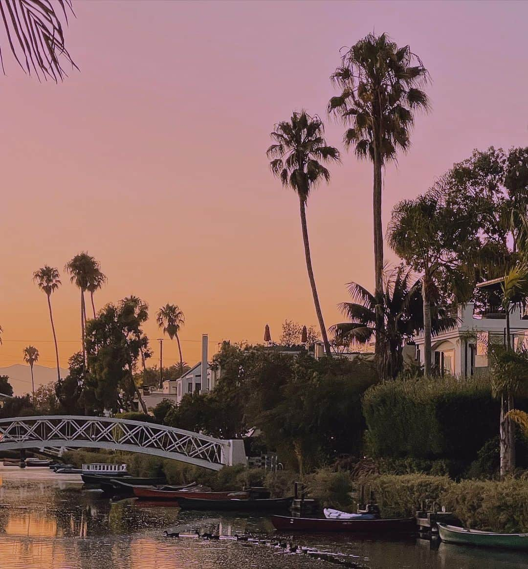 Leslie Camila-Roseのインスタグラム：「Venice Beach ❤️💜🧡 The world is worth saving.   #sunsetpainting #venicecanals」