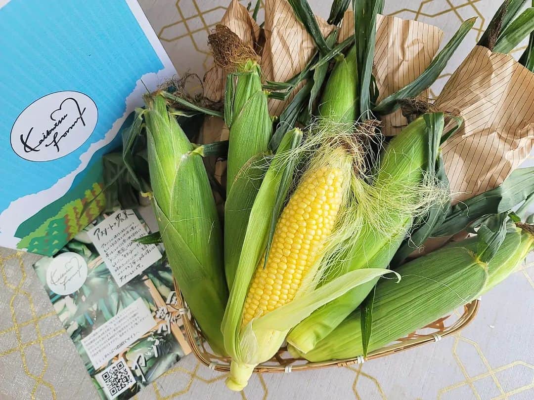 石関友梨のインスタグラム：「糖度18,5度の果物級の甘さの生とうもろこし🌽✨⁡ ⁡⁡ ⁡お取り寄せ出来るのですっごくオススメ😊⁡⁡我が家では毎年食べてます︎💕︎新鮮＆糖度が高く生のままでも食べれます😍⁡⁡ ⁡⁡ ⁡とうもろこしのアップ画像は無加工です⁡ ⁡宝石みたいに粒がぷっくりキラキラ輝いてます✨⁡ ⁡⁡ ⁡毎年楽しみなので毎年オススメしてるのですが、投稿を観て食べてくれた方が沢山いて、皆さんから絶賛のコメントいただいてます︎💕︎⁡⁡ ⁡⁡ ⁡🍑や🍇に匹敵するほどの甘さ⁡ ⁡ジュワッとジューシーでほっぺた落ちますよー😍⁡⁡ ⁡ ⁡1つ1つ丁寧に袋詰めされて、箱も凄く可愛い👍🏻 ⁡⁡ ⁡まだ食べたことがない方は ⁡お取り寄せ、または店舗販売してるので⁡ 是非食べてみてください✨⁡⁡ ⁡@kaibutsu_farm ⁡ ⁡ #かいぶつ農園 #かいぶつ農園とうもろこし #激うまとうもろこし #生とうもろこし #長野グルメ #アスリート農業  ⁡⁡ ⁡」