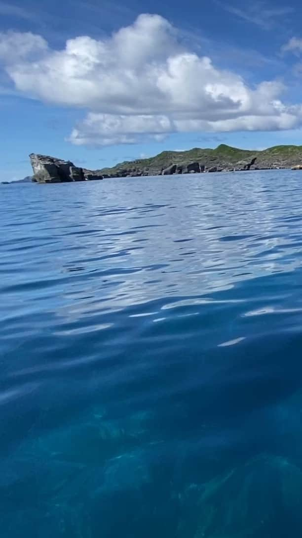 小笠原村観光協会のインスタグラム：「🌊  先日は今季一番のコンディションの海だったのでおすそ分けです🤗✨  普段なら6月くらいから晴れて海が凪いで夏らしい陽気になるのですが 今年は7月に入った途端にイマイチ天気も海も良くならず… 8月になり、やっと小笠原の夏らしい海と天気になりました☀😄☀  こんな日の海ツアーは最高です！ イルカと泳ぐのも勿論楽しいのですが ボードで走っているだけでも海が綺麗で風が気持ちいいですよ😆  #南島 #ボニンブルー #世界自然遺産 #小笠原諸島 #父島 #島暮らし #離島 #離島暮らし #海のある生活 #海のある暮らし #海のある風景 #ダイビング #ドルフィンスイム #ドルフィンウォッチング #シュノーケル #夏休み #夏休み旅行 #南の島 #ogasawara #boninisland #boninblue #ogasawalove #diving #dolphin #dolphins #8月の小笠原 #ダレカニミセタイケシキ」