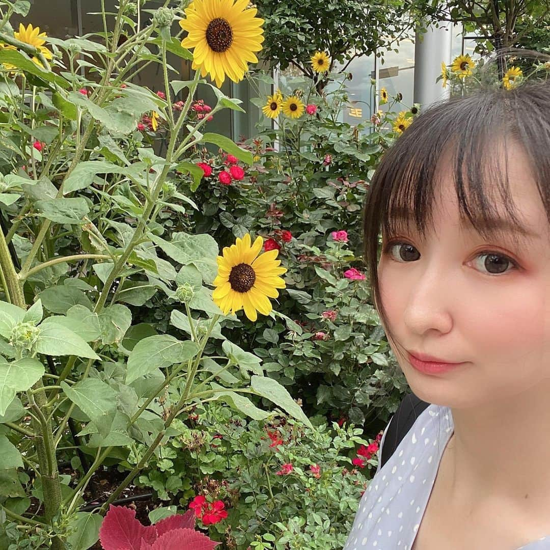 大谷咲子さんのインスタグラム写真 - (大谷咲子Instagram)「先月なんですけど、BS11のアニゲーイレブンさんの取材で横浜に行ってきました！ シンジャパンヒーローズアミューズメントワールドの体験型イベントを体験させてもらいました！ テレビのレポーターはとっっっても久しぶりでしたがこうして出させていただけるのは応援してくださったみなさんのおかげです。 細々とでも配信などの活動を続けてきましたがそうして続けることで活動してる人なんだ！って思っていただけるわけですから、普段から配信など見てくださる皆さんのおかげです。 今度はオンエア前にお知らせします🤣 #yokohama #横浜 #ワールドポーターズ」8月9日 17時46分 - sakiton69