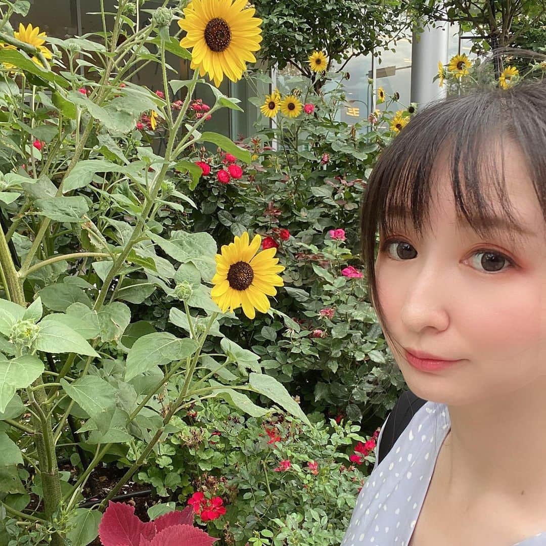 大谷咲子のインスタグラム