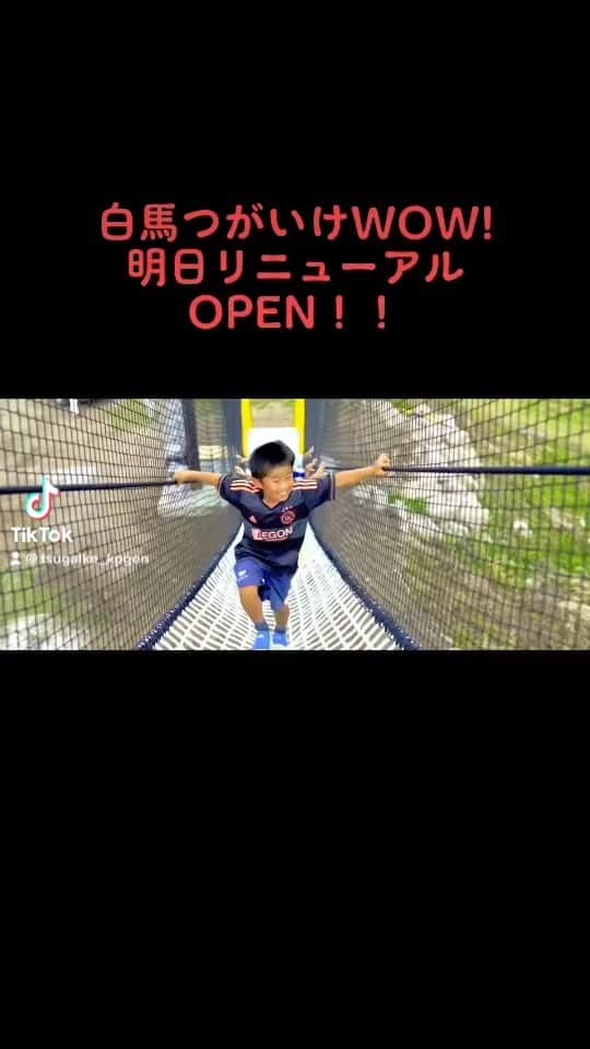 のインスタグラム