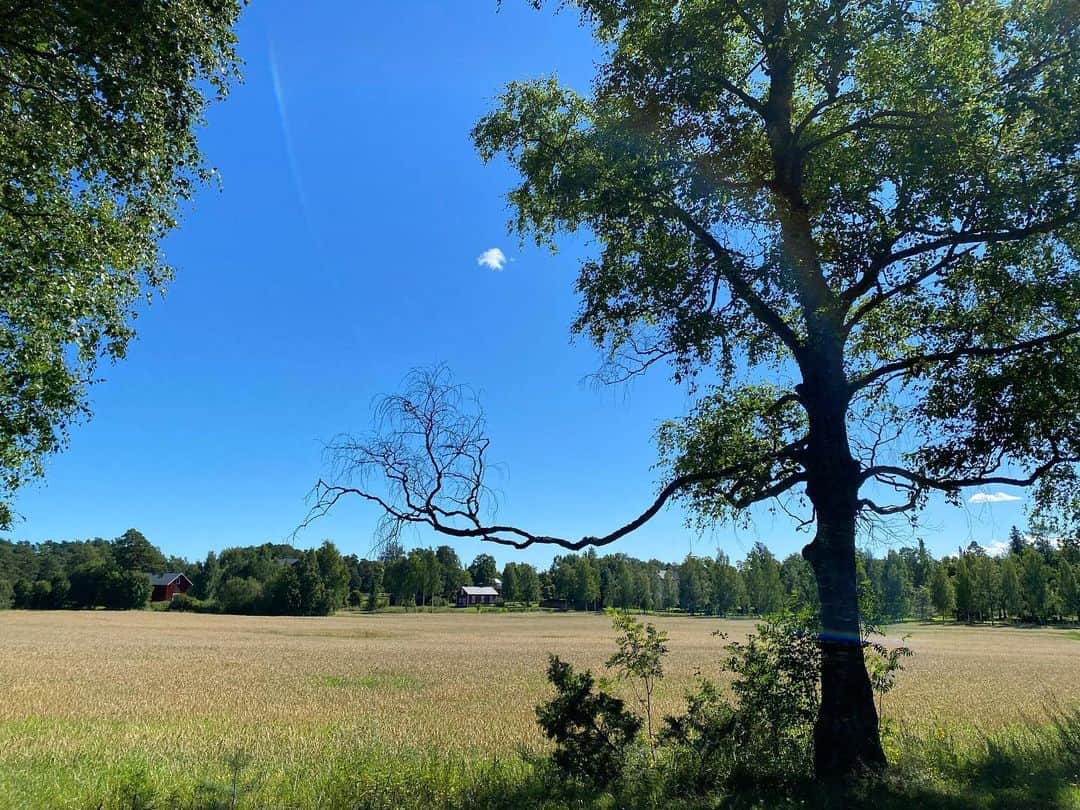キーラ・コルピのインスタグラム：「🌾🇫🇮」