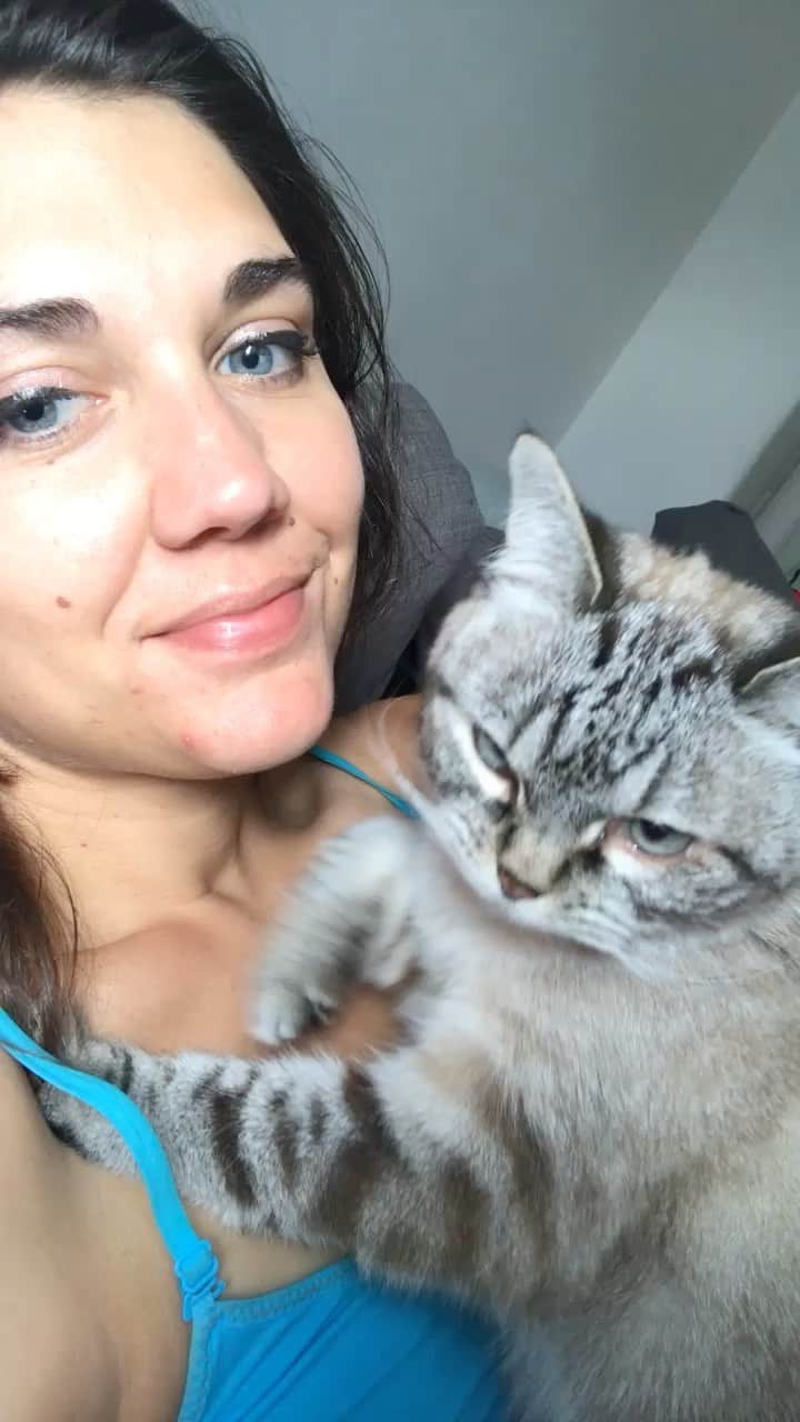 Lokiのインスタグラム：「♥️🌈 #catstagram #catsagram #cat #cats #kitten #instacat  #catsofinstagram #catsoninstagram #pet #pets  #cute #cutecat  #instacat_meows #catoftheday #gato #cats_of_instagram  #cutepetclub #thedailykitten  #kittycat #catlover #ilovecats #animals #meow #instacute #photooftheday #animaladdicts #nature_cuties #igcutest_animals」