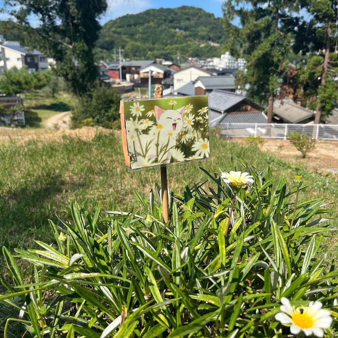 大原ゆい子さんのインスタグラム写真 - (大原ゆい子Instagram)「鹿島明神社さんのここから見える景色が大好きです  #高木さんめ #小豆島」8月10日 20時43分 - ohara_yuiko