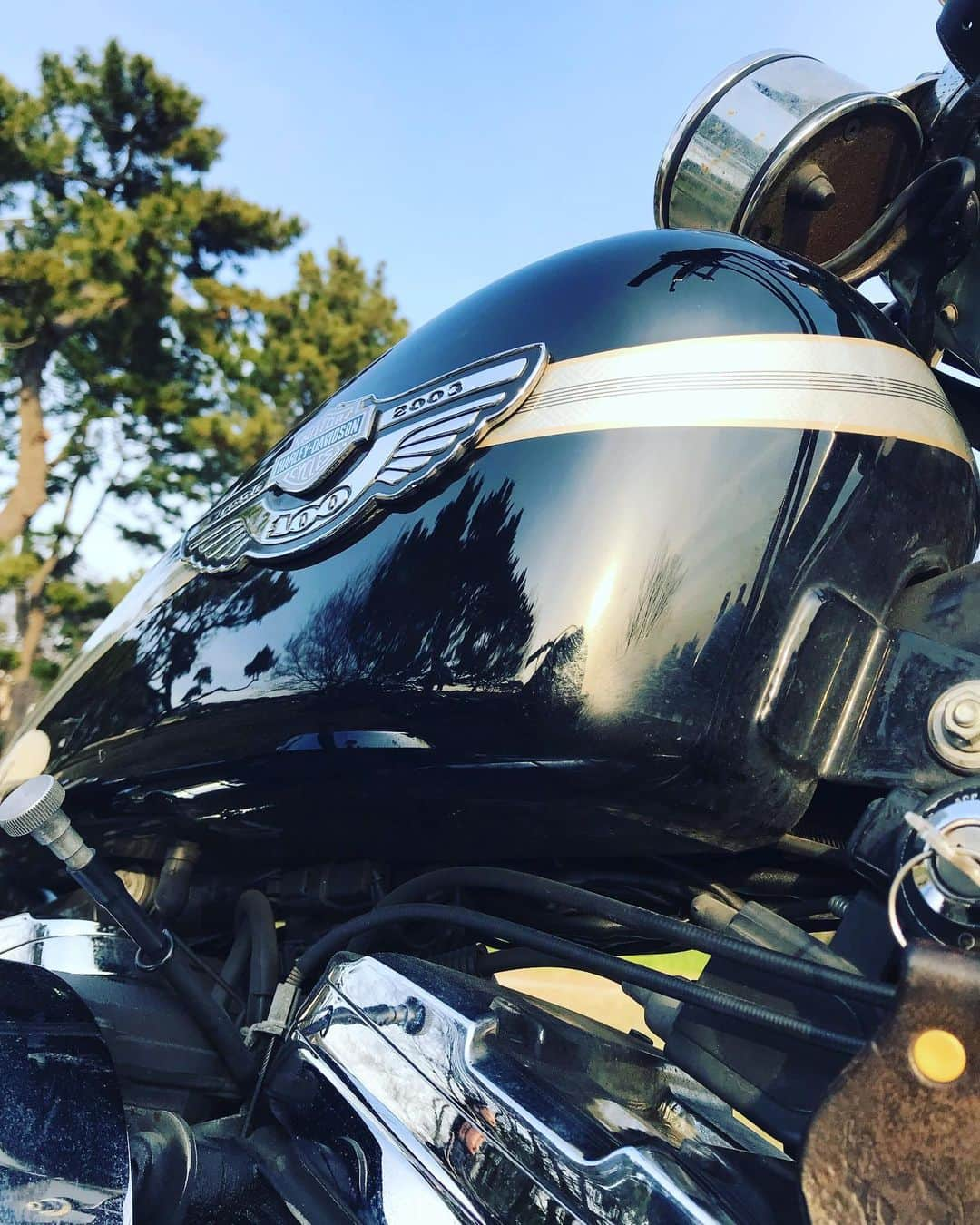 関川良さんのインスタグラム写真 - (関川良Instagram)「#harleydavidson」8月10日 19時54分 - ryosekikawa