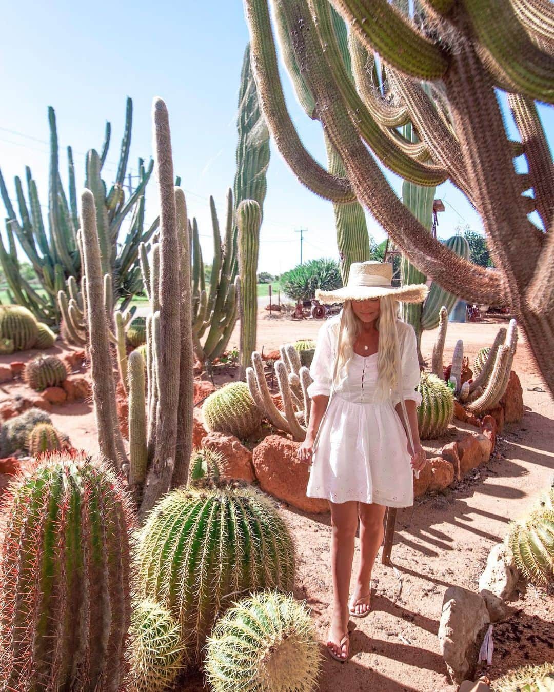 さんのインスタグラム写真 - (Instagram)「Road trip moments along the #coralcoasthighway wearing @spell 🌵  📸 @bobbybense   #cactusgarden #justanotherdayinwa #wanderoutyonder #catchyouincarnarvon #carnarvon #thisiswa #seeaustralia #spell #spelldesigns #roadtrip #australiascoralcoast #australia #bohostyle #travelblogger #perthblogger #styleblogger #cactus #cacti #morels #mango」8月10日 20時13分 - gypsylovinlight