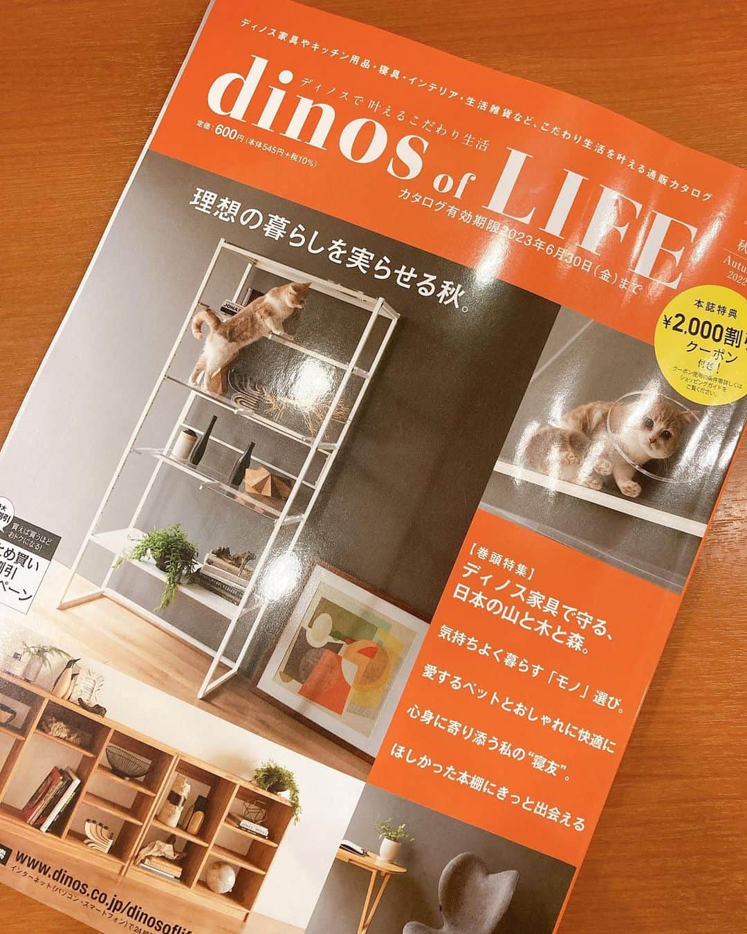 古城優奈のインスタグラム：「秋号もたくさん掲載させて頂いてます♡  いろんなページにいるので見つけてね🤭  #広告 #広告モデル」