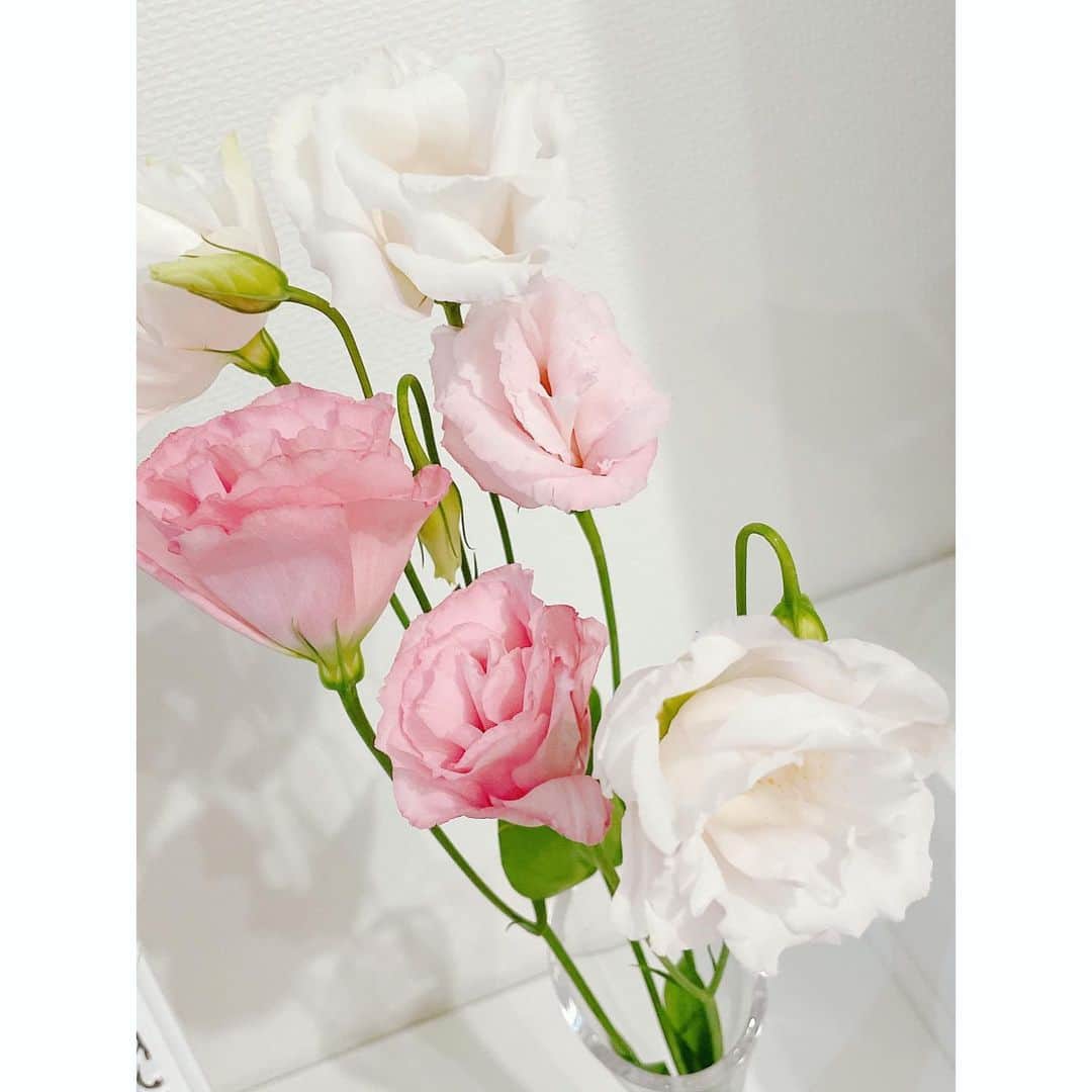 雪妃真矢のインスタグラム：「これは  #トルコキキョウ 。  白色の花言葉は『思いやり』『永遠の愛』🫶🏼💗 ピンク色は『優美』✨   #花言葉  #一輪挿し」