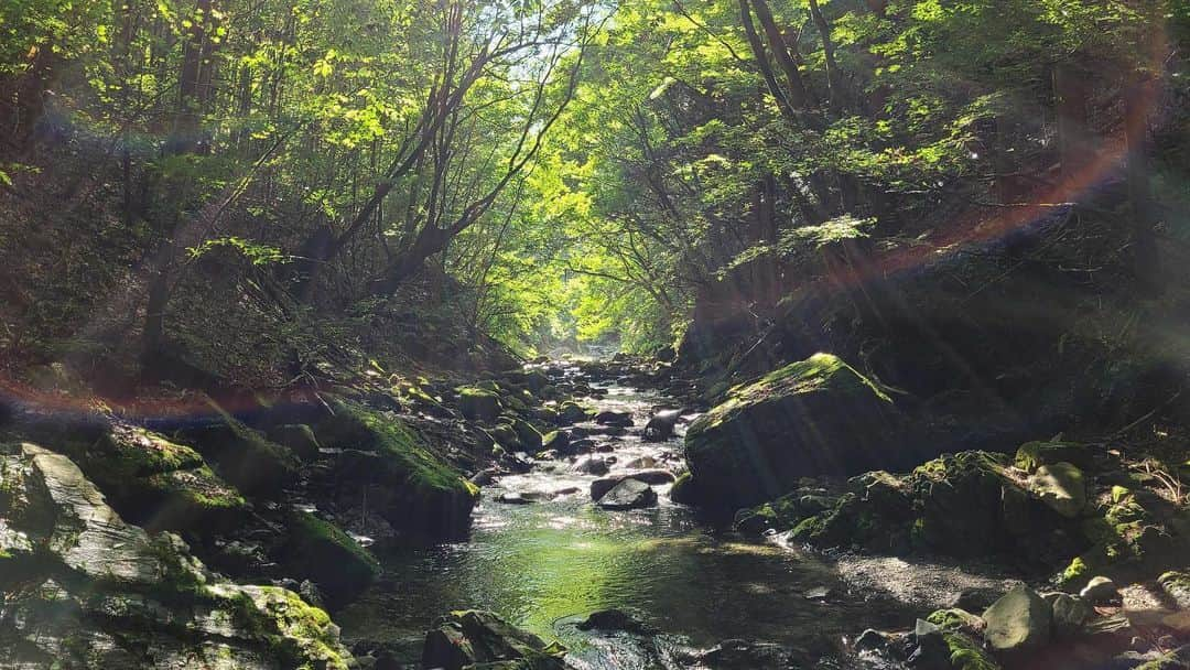 山本里菜さんのインスタグラム写真 - (山本里菜Instagram)「#🍃🌈」8月10日 18時47分 - rinayamamoto_0622