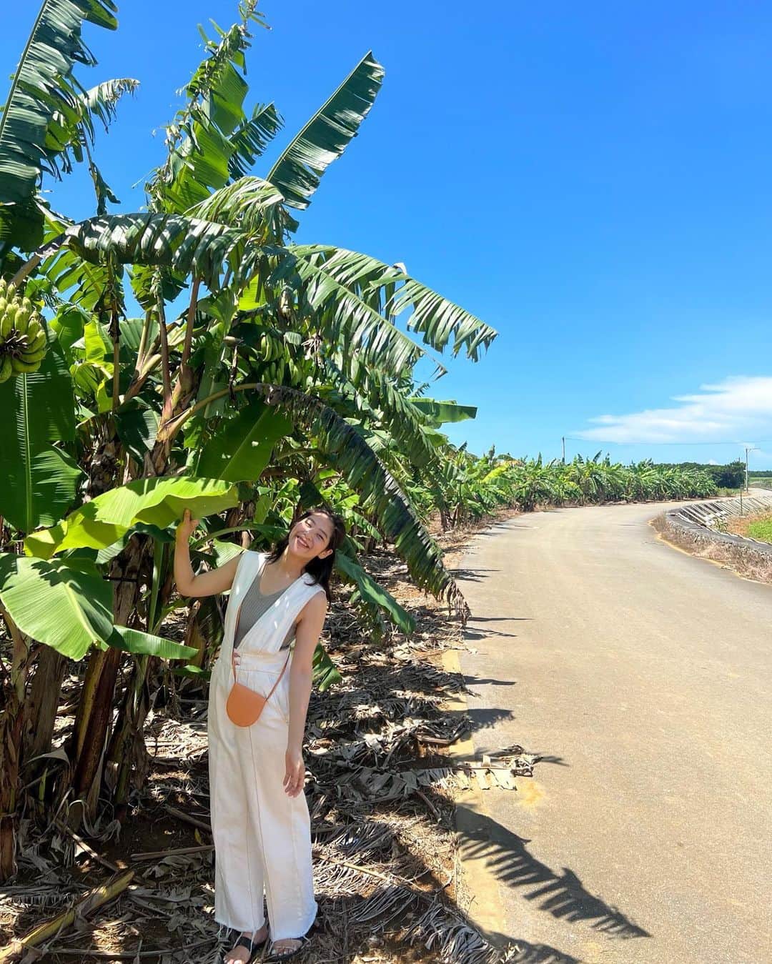 ayumiのインスタグラム：「🍌🍌🍌 島バナナ園🌈🌈🌈 甘くてもちもちだったな〜🥺🔥  バナナ農園ってすごく広大で びっくり😳 #宮古島 #バナナ園」