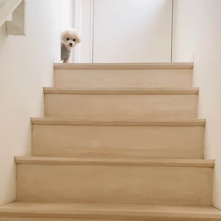 mizuのインスタグラム：「ひょっこり  ロッちゃーんって呼んだら顔出してくれた ♡」