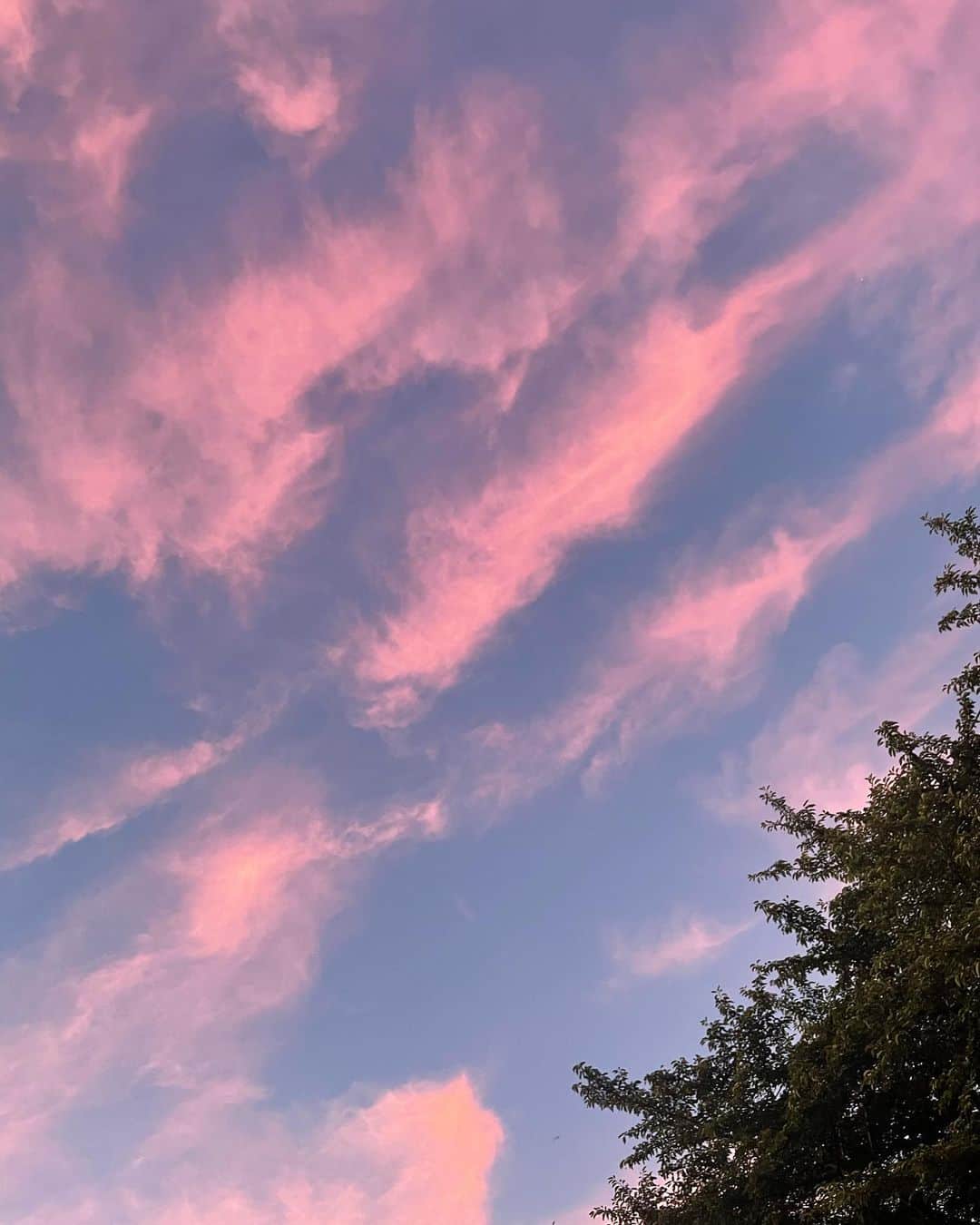 二宮愛さんのインスタグラム写真 - (二宮愛Instagram)「Took this pic this morning.  4:44am. What a glorious sky.  #nofilter #nofilterneeded #sky #beautiful」8月11日 18時50分 - aininomiya