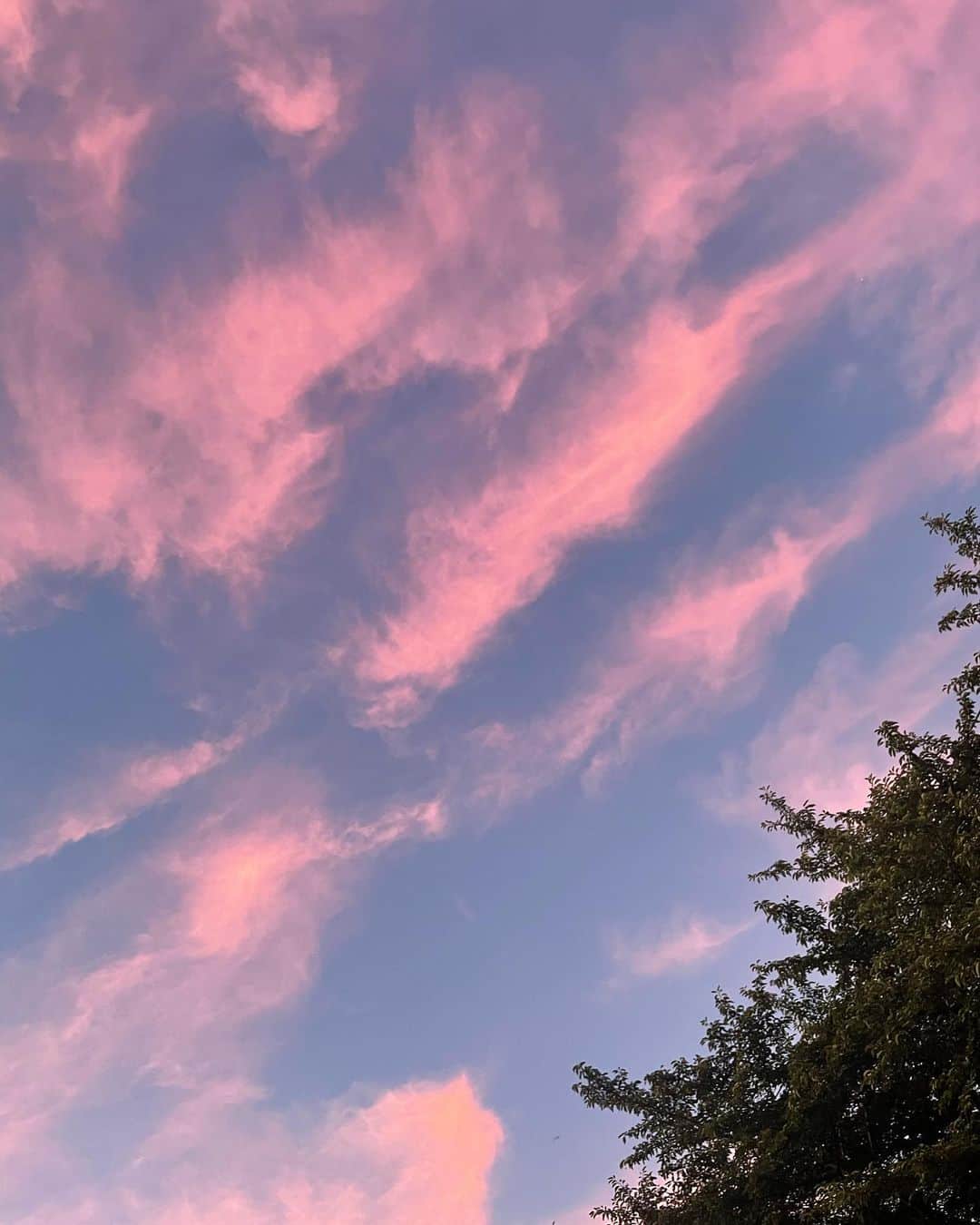 二宮愛のインスタグラム：「Took this pic this morning.  4:44am. What a glorious sky.  #nofilter #nofilterneeded #sky #beautiful」