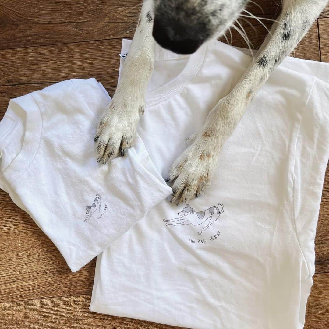 Apricots Artのインスタグラム：「The paw 倶楽部 (club) 🐾 犬オタクたちのためのTシャツ  Created by Mina #apricotsart」