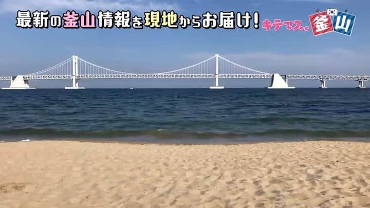 KBCラジオのインスタグラム：「旬な釜山を集めた動画【キテマス。釜山】の第6回を発信します🎬▶️  😍今回のテーマは「オーシャンビューの絶景満喫🏖」 眼前のダイヤモンドブリッジを見ながら、 ピザ🍕にクラフトビール🍺＆紅茶にスイーツ🍰などを楽しむコースをチョイスしています😍 旅の思い出作りに役立つ新スポットも出てきますよ😉  知らない場所もきっとあるはず！！ 釜山の人がおすすめする旅のモデルをお楽しみください✨  KBC #YouTube 公式チャンネルで✨😉 ＜完全版動画はこちら☟＞ https://www.youtube.com/watch?v=G-KScqworcw  番組とタイアップし韓国・釜山のトレンドをお届けしています🥰  #釜山 #韓国旅行 #広安里 #広安里海水浴場 #釜山旅行 #南浦洞 #QUEENBEETLE #クイーンビートル #キテマスＫ#한국여행 #부산맛집 #광안리 #광안리해수욕장 #부산카페 #KBCラジオ #KBC #솔탭하우스 #녹아내려 #포토시그니처 #韓国語勉強」