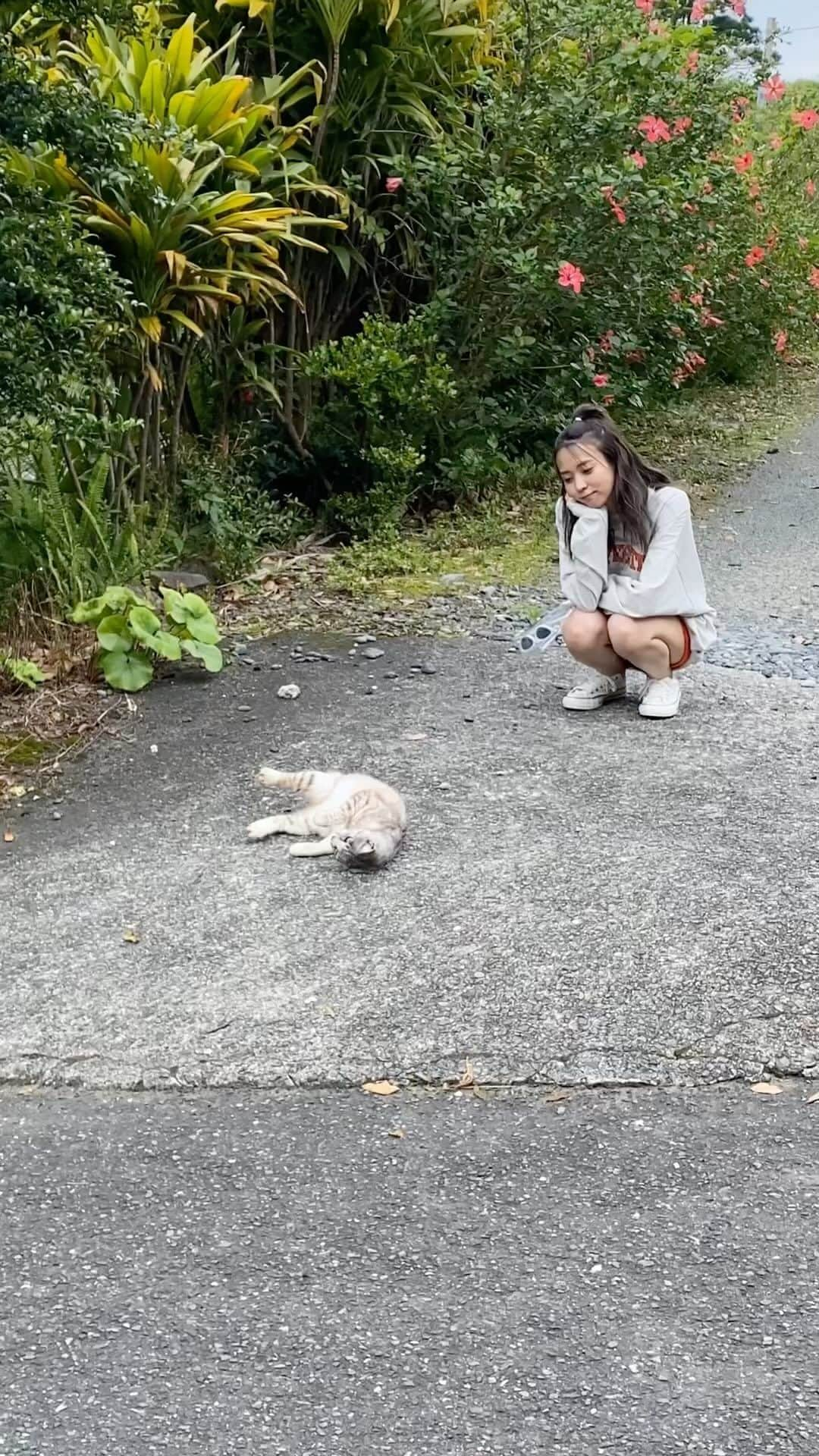 小林由依のインスタグラム：「\にゃんこも出たい小林由依2nd写真集🐈/　  急に距離つめてきたにゃんこでした😽  #小林由依2nd写真集 #ぽん観察 #こば観察 #小林由依 #櫻坂46 #ゆいぽん #ゆいぽんdayまで53日」