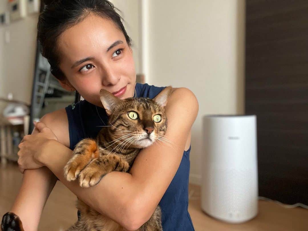 佐野千晃のインスタグラム：「じゃじゃーん ⁡ 新しい空気清浄機 Philips Air Purifier 1000i series をget！ ⁡ 最小のウイルスを含め（コロナウイルスも含む） 0.003マイクロメートルの粒子を99.97％除去するPHILIPSだけの機能を有する空気清浄機🤩 ⁡  パーフェクトエアクリーン技術 // ⁡ メンテナンスしやすいし、消費電力も低くて、見た目がめちゃくちゃスタイリッシュでカッコ良い🤤 ⁡ 携帯と連動もできるからベッドにいても外にいても操作可能なのも嬉しい機能だわぁ🤤  こたさんがいるから空気清浄機は大切🥺  周りを走ると勝手にブォーって強くなってくれるの素敵！笑 ⁡ ⁡ #パーフェクトエアクリーン #新浄識の空気清浄機 #PHILIPSだけの空気清浄力 #0_003マイクロメートルのウイルスも除去 #上がれQOL」