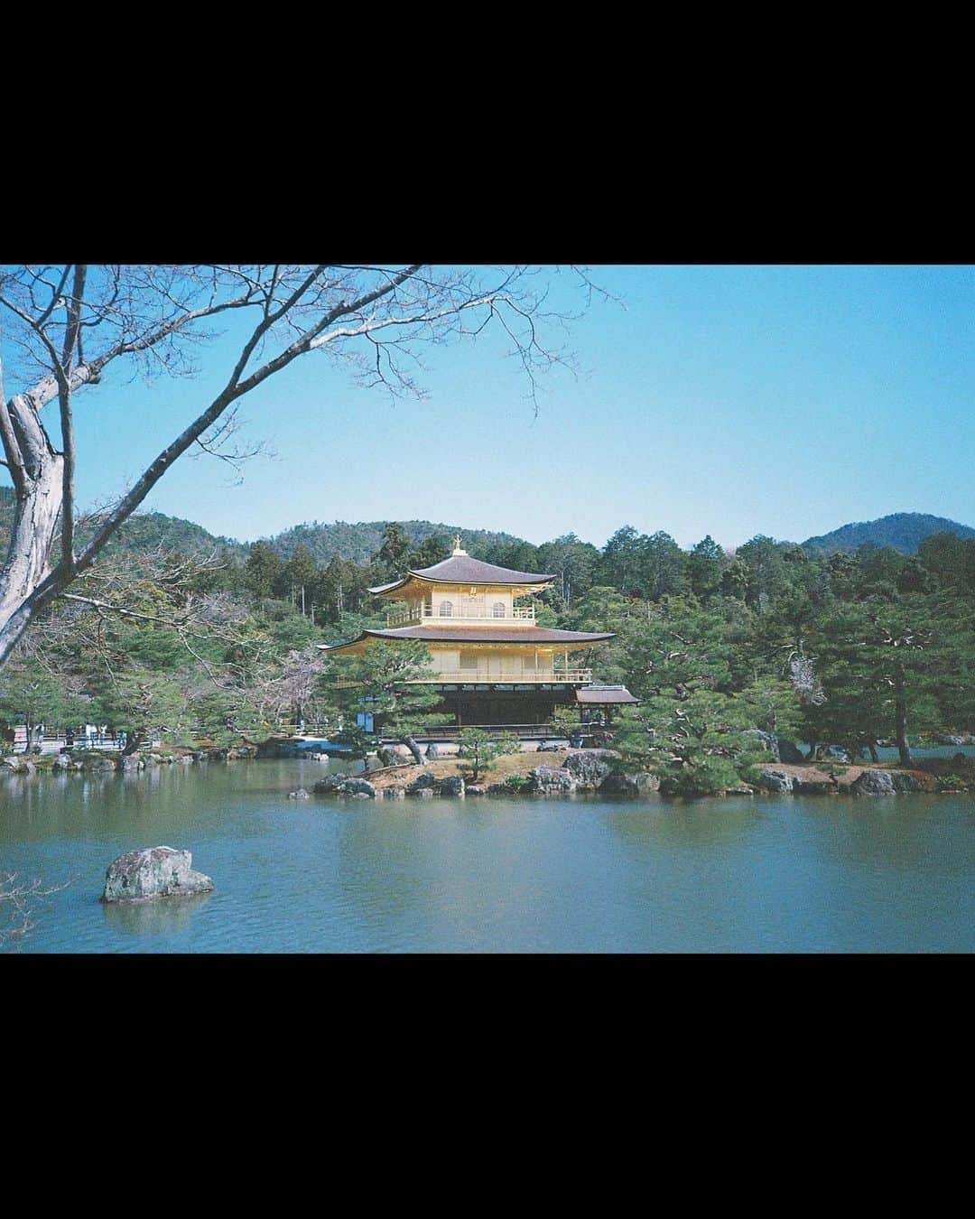 入江甚儀さんのインスタグラム写真 - (入江甚儀Instagram)「金閣寺🫶  #金閣寺 #kodak  #konicabigmini301 #film」8月12日 22時28分 - jingi_irie