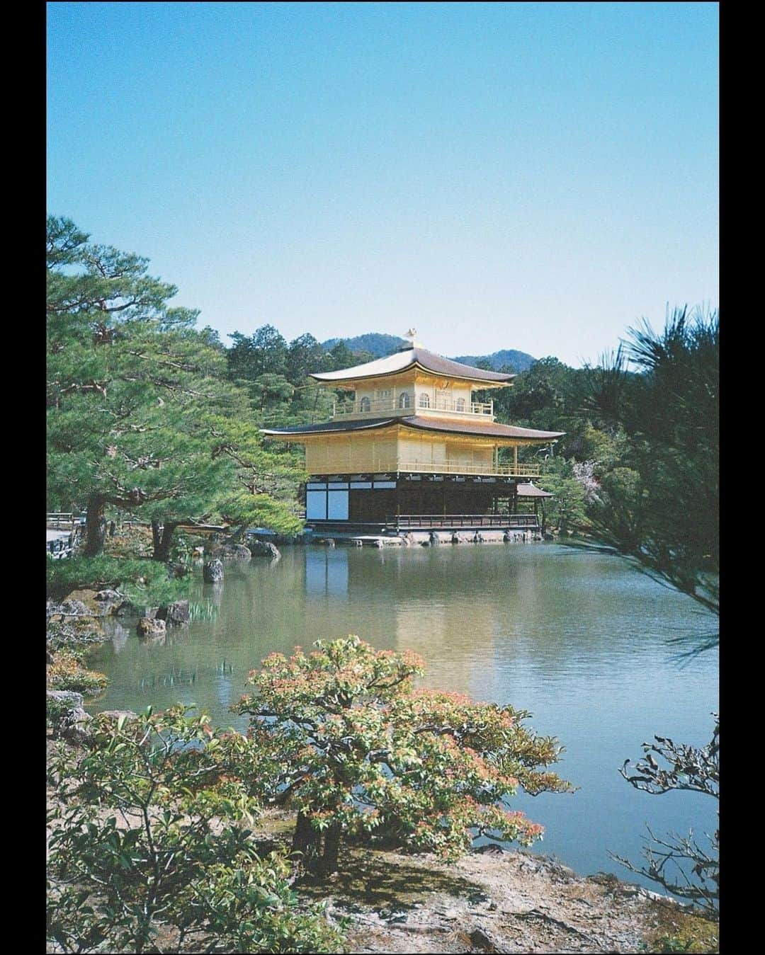 入江甚儀さんのインスタグラム写真 - (入江甚儀Instagram)「金閣寺🫶  #金閣寺 #kodak  #konicabigmini301 #film」8月12日 22時28分 - jingi_irie