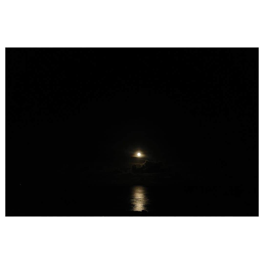 高垣麗子さんのインスタグラム写真 - (高垣麗子Instagram)「*  満月のひかりが海をひっそり照らしている 月あかりしか見えない景色 贅沢だな✨  神秘的でずっと眺めていたい夜でした　＾＾  * #sturgeonmoon  #fullmoon #🌕」8月13日 6時02分 - reikotakagaki