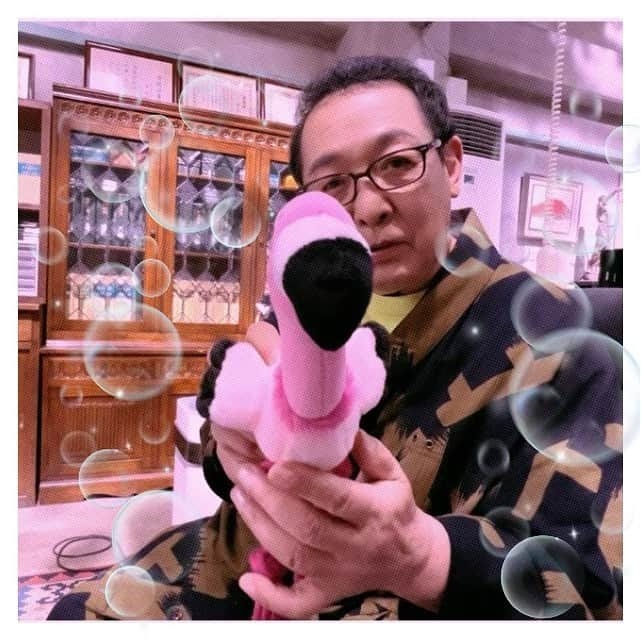 さだまさしさんのインスタグラム写真 - (さだまさしInstagram)「綿郎さんとフラミンゴ🦩 撮影の合間に（笑） 人形コント⁉️はＭass@Ｍaniaのミタが、、、 . #綿郎 #潮綿郎 #さだまさし #sadamasashi #フラミンゴ #まっさマニア #まっさマニアミタ」8月13日 17時05分 - sada_masashi