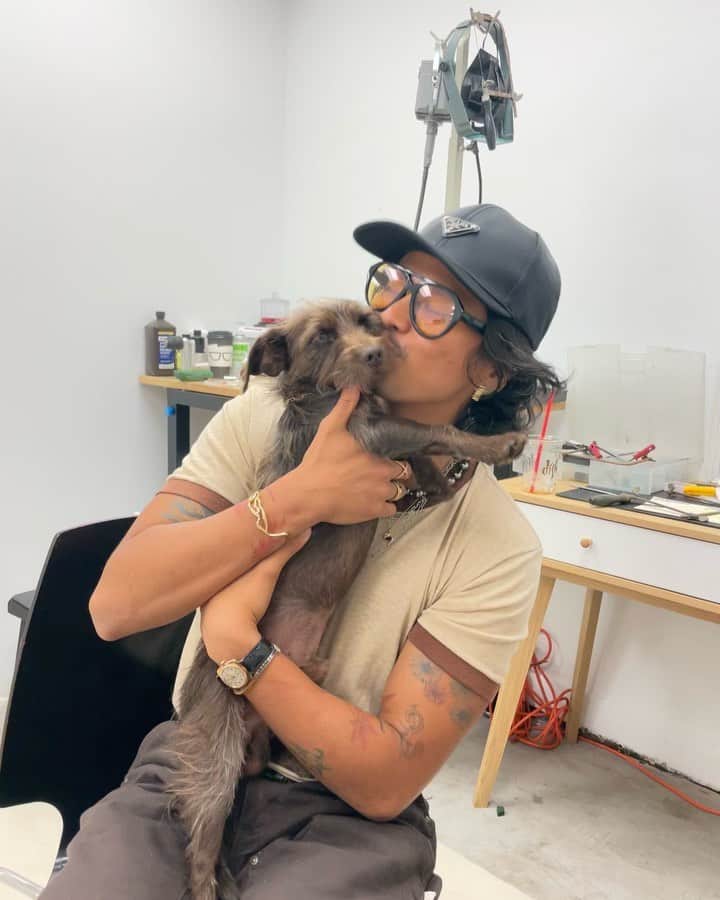 稲木ジョージのインスタグラム：「Design meeting is always better with doggos🥺😩🙈❤️  来年に向けてデザインミーティングしましたー💡犬大好きなので、犬飼ってたら遊ばさせてください😩❤️」