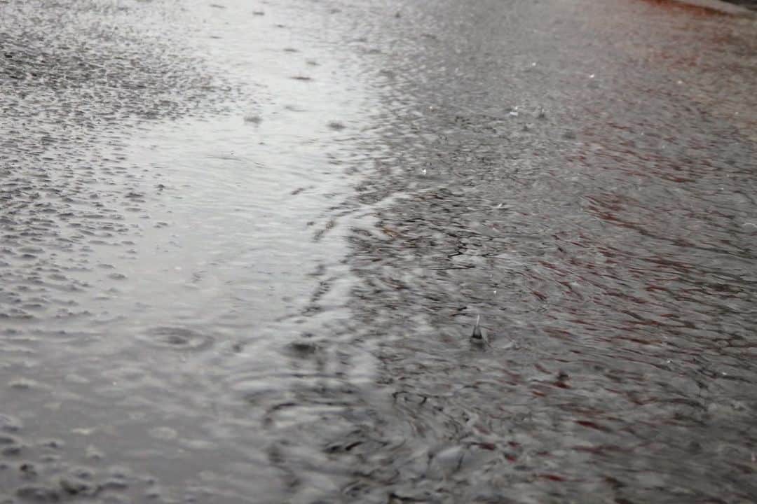 野田澤彩乃さんのインスタグラム写真 - (野田澤彩乃Instagram)「水たまりに跳ねる雨の滴を撮りたくて、背中を濡らしながらもうずくまり。 海の砂浜の波打ち際のような水たまり。 そして雨の雫。」8月13日 21時07分 - noa_color