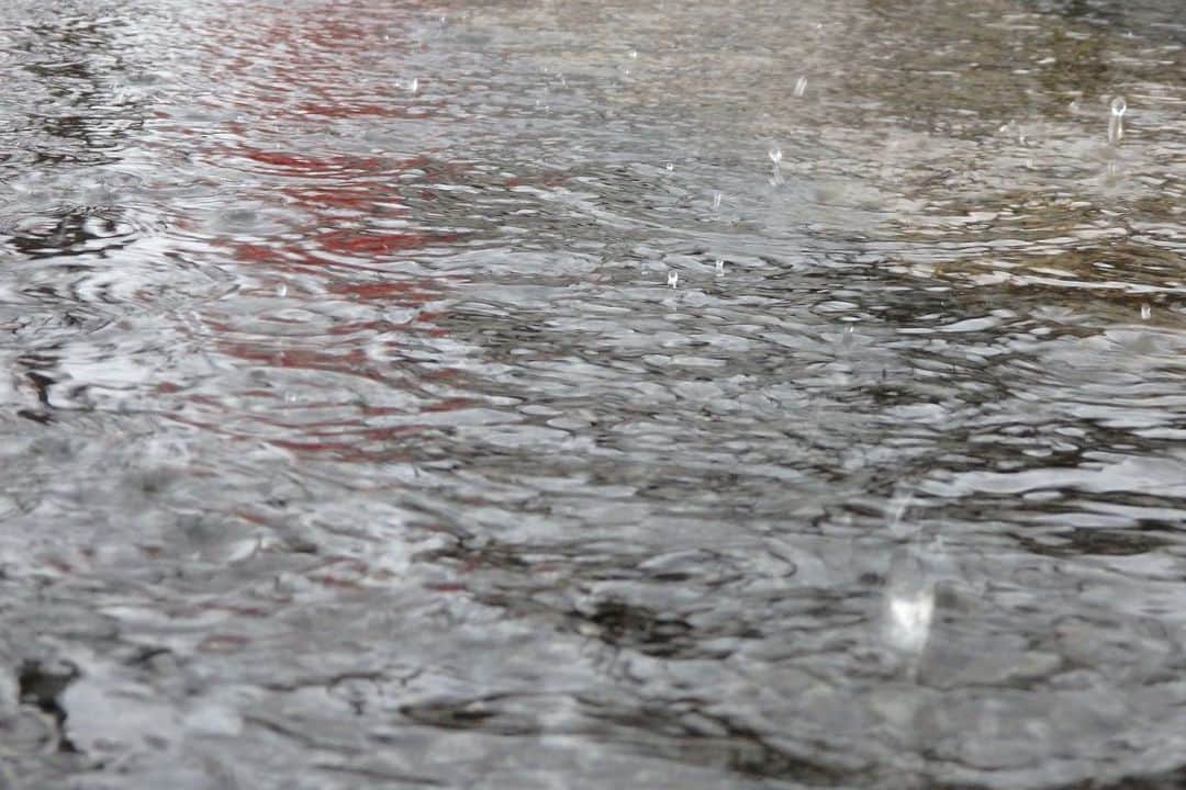野田澤彩乃のインスタグラム：「水たまりに跳ねる雨の滴を撮りたくて、背中を濡らしながらもうずくまり。 海の砂浜の波打ち際のような水たまり。 そして雨の雫。」