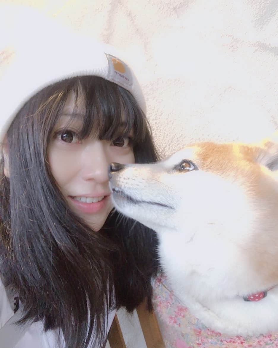 鈴華ゆう子のインスタグラム：「今朝連絡がはいった、懐かしのあの日のワンコ。元気かなー。 髪が長い。  #鈴華ゆう子   #和楽器バンド  #Wagakkibnd  #yukosuzuhana」