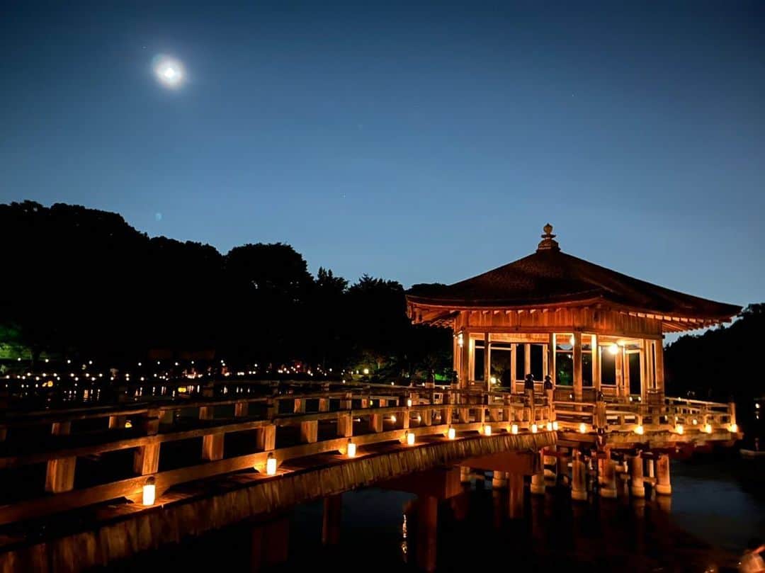 佐久間あすかのインスタグラム：「夏休み思い出① 奈良の燈花会の初日 3年ぶりの開催で、幻想的な一夜でした☺️✨また行きたい🧡 #奈良の夏　#燈花会  #猿沢池」