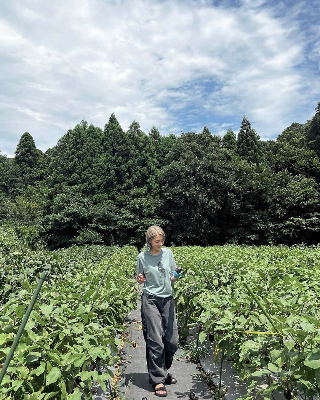 RiRiさんのインスタグラム写真 - (RiRiInstagram)「大好きなwe are the farm  @official.wearethefarm  の畑に、遊びに行ってきた👩‍🌾🌿  無農薬・無化学肥料・露地栽培に こだわられて作られた「固定種」野菜を主役に、 素材の味を最大限に引き出すシンプルな調理法で お料理が提供されているお店🤍  長年、大ファンで、 まさか畑に遊びに行ける日が来るなんて🥹✨  本当、ご縁に感謝😭🙏🌿  ななちゃん @nanafukui 誘ってくれて、 ありがとーう🥲💚  人間が、同じ姿形の人がいない様に、 お野菜もいろんな姿形があるはずなのに、 傷が付いていない、虫に食われていない キレイに整えられた物が選ばれてしまう現代。  見た目は、キレイかもしれないけど、 身体に負担のかかる農薬が中に染み渡っていたら？  人間も同じで、見た目はキレイかもしれないけど、 中身が、マイナスに引っ張られる人だったら？  なんか、同じ事に通ずるな〜と感じました😌  見た目だけの判断ではなく、 中身こそ大事に感じる最近🌏🫶✨  選ぶ人の意識が変わらない限り、 どんどんと見た目を良くする為に 身体に負担のかかる農薬を 農家さんに使わせてしまうの。  傷がついていたり、 虫に食われていたとしても 同じお野菜🤲🍆✨  一瞬の見た目の為に、 身体に入れた後の負担を考えていなかった過去。  人間関係でも、本当同じ事だよね😖  改めて、しみじみ感じた日になりました🙏✨  #wearethefarm #organic #オーガニック #無農薬野菜 #有機栽培 #有機野菜」8月14日 18時03分 - _ri420