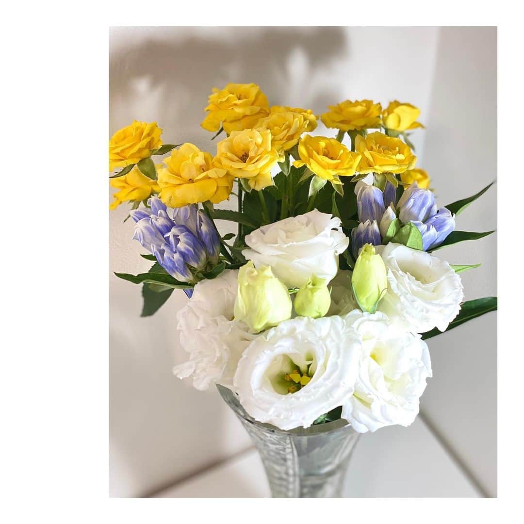 大島璃音のインスタグラム：「今日はお花を買って帰りました💐  暑さに比較的強いスプレーバラとリンドウをチョイス🌞 爽やかなブルーとビタミンカラーの黄色で 夏をイメージしました🍋🫐  お花の組み合わせを考えながら バランスを見て花瓶に飾る時間がとっても楽しい🧚🏻‍♀️ なかなか夏らしいことは出来ていませんが、お花で夏を満喫です♪  #スプレーバラ  #リンドウ #トルコキキョウ #お花のある暮らし」