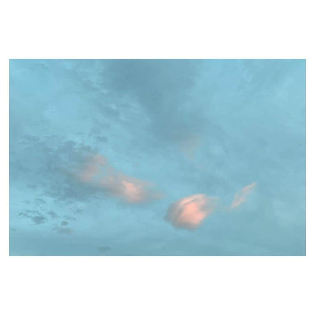 竹仲絵里さんのインスタグラム写真 - (竹仲絵里Instagram)「ふわり、ふしぎな雲でした  コロンと転がっていきそうな  妙に立体的でピンク  人さし指と親指でつまめそうな雲  #今日の空 #今日の雲 #かわいい雲 #ピンク ##tokyocameraclub #ig_japan #PHOS_JAPAN #東京カメラ部 #photolife #photo_jpn #カメラ女子 #igersjp #focus #写真好きと繋がりたい #snapshot ##art_of_japan」8月14日 23時41分 - eri_takenaka
