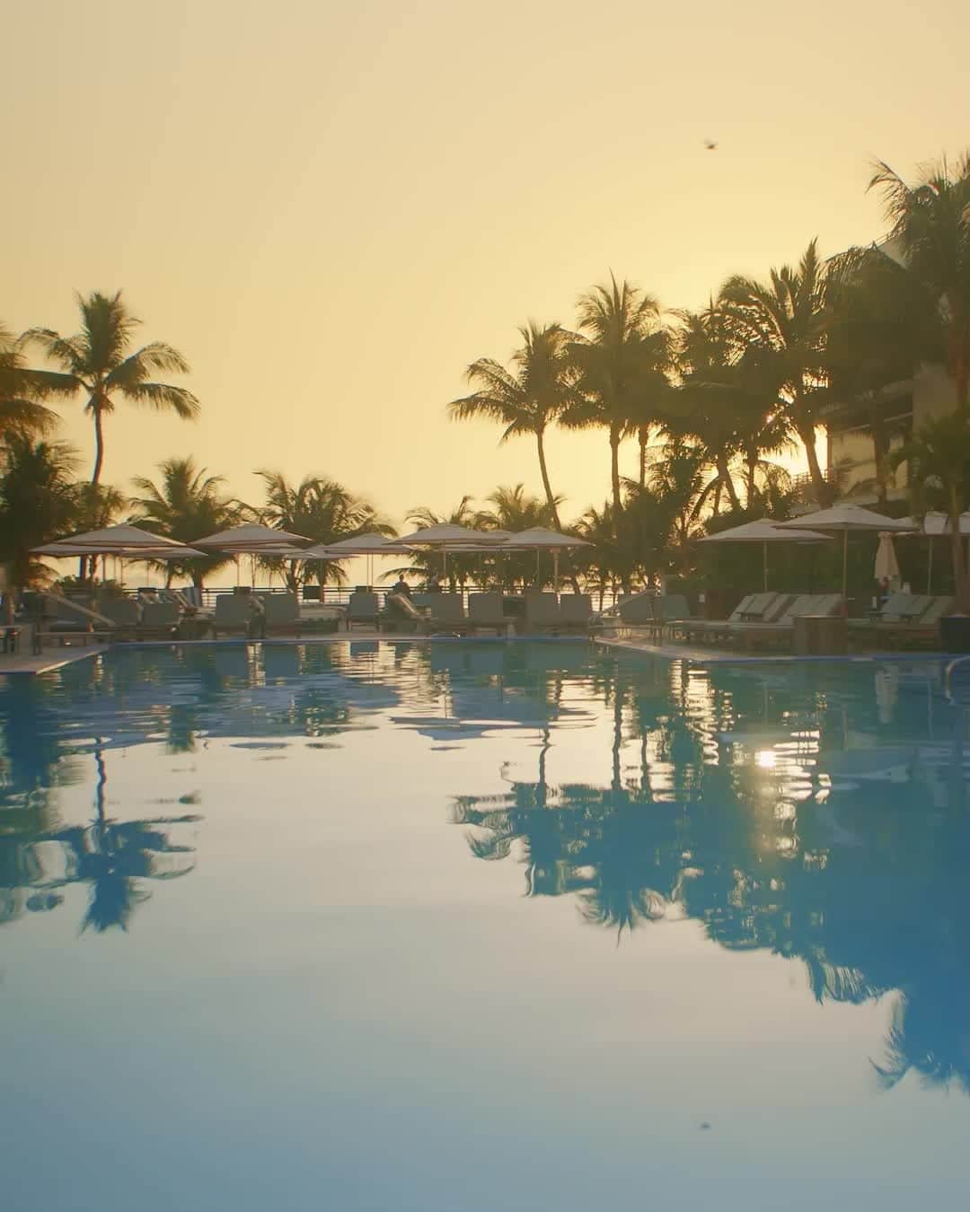 リッツ・カールトンのインスタグラム：「Sunshine and rippling water set the stage for perfect poolside days at The Ritz-Carlton, #SouthBeach.」