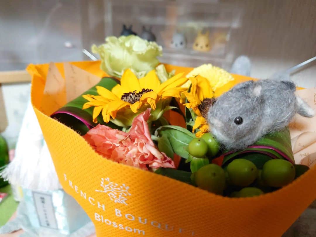 MaRi.Kのインスタグラム：「お盆ですね。 昨日はルーさんの月命日でもありました。  みんなもう帰る準備をしているのだろうか。 ルーさんもお友だちや親戚の子たちと一緒にまた帰っていくのかな。  ルーさん、もう7回目のお盆だよ。 もうそんなになるんだね……」