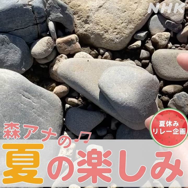 あさイチのインスタグラム