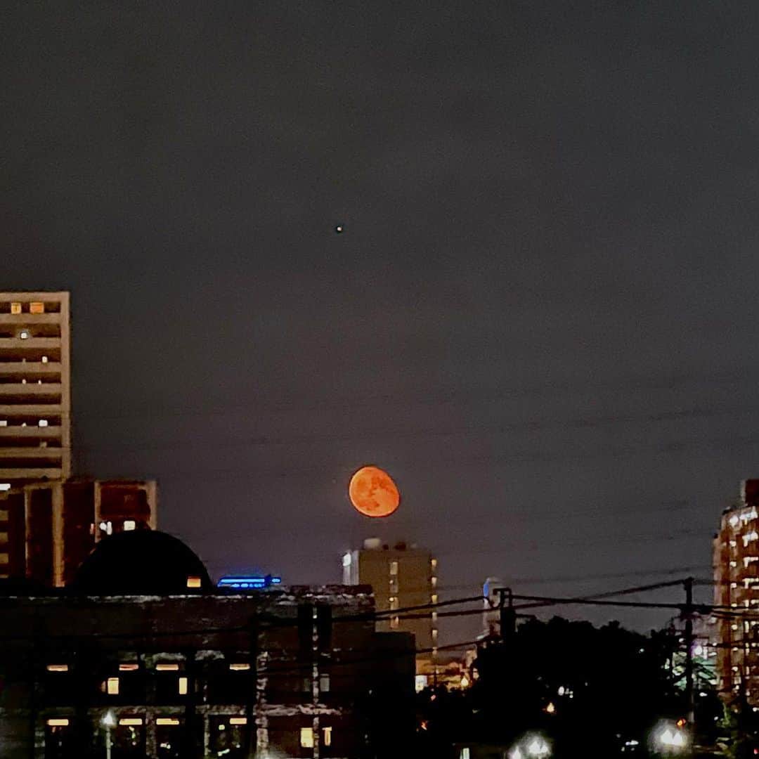 坂崎幸之助さんのインスタグラム写真 - (坂崎幸之助Instagram)「大きくてオレンジ色🌝 一眼レフで撮りたかったな😝  #月 #moon #オレンジ色の月 #笑い顔 #金星 #大気の影響 #iPhone13Pro」8月15日 21時54分 - kohnosukesakazaki
