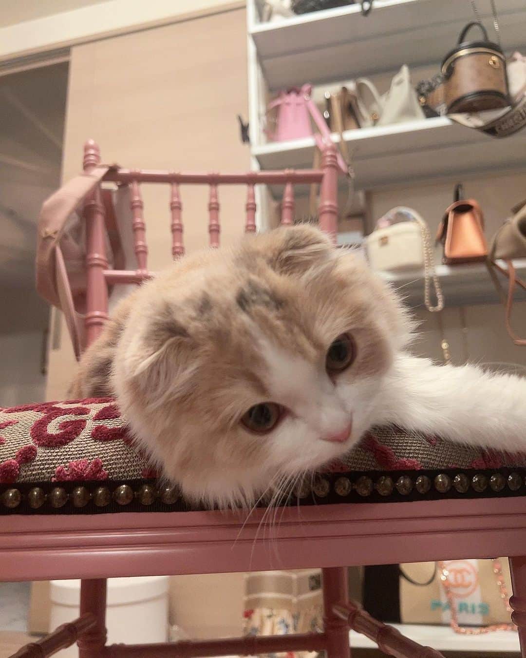 天野紗也加のインスタグラム