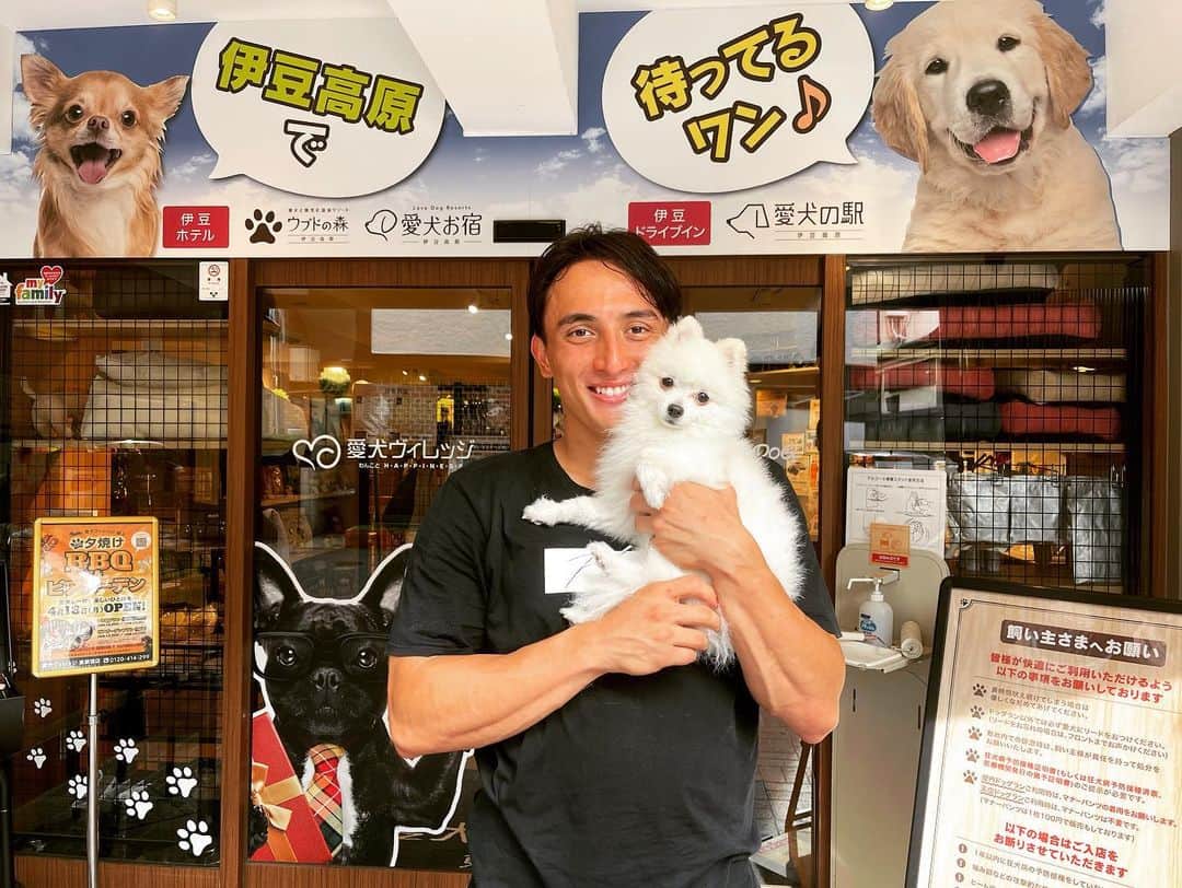 のインスタグラム：「にょんちゃんと久々のドッグラン🐶  沢山お友達と遊んで、プールもチャレンジして、楽しそうな笑顔が見れてよかった😊  *******************************  #バチェロレッテ #バチェロレッテ2 #thebachelorette #アマゾンプライムビデオ #amazonprimevideo #amazon #アマゾン #佐藤マクファーレン優樹 #マクファー #3x3 #バスケ #恋愛もパワープレーな男 #愛犬 #ポメラニアン #愛犬家 #pet  #dog #puppy #pomeranian #ペット #家族 #にょんちゃん」