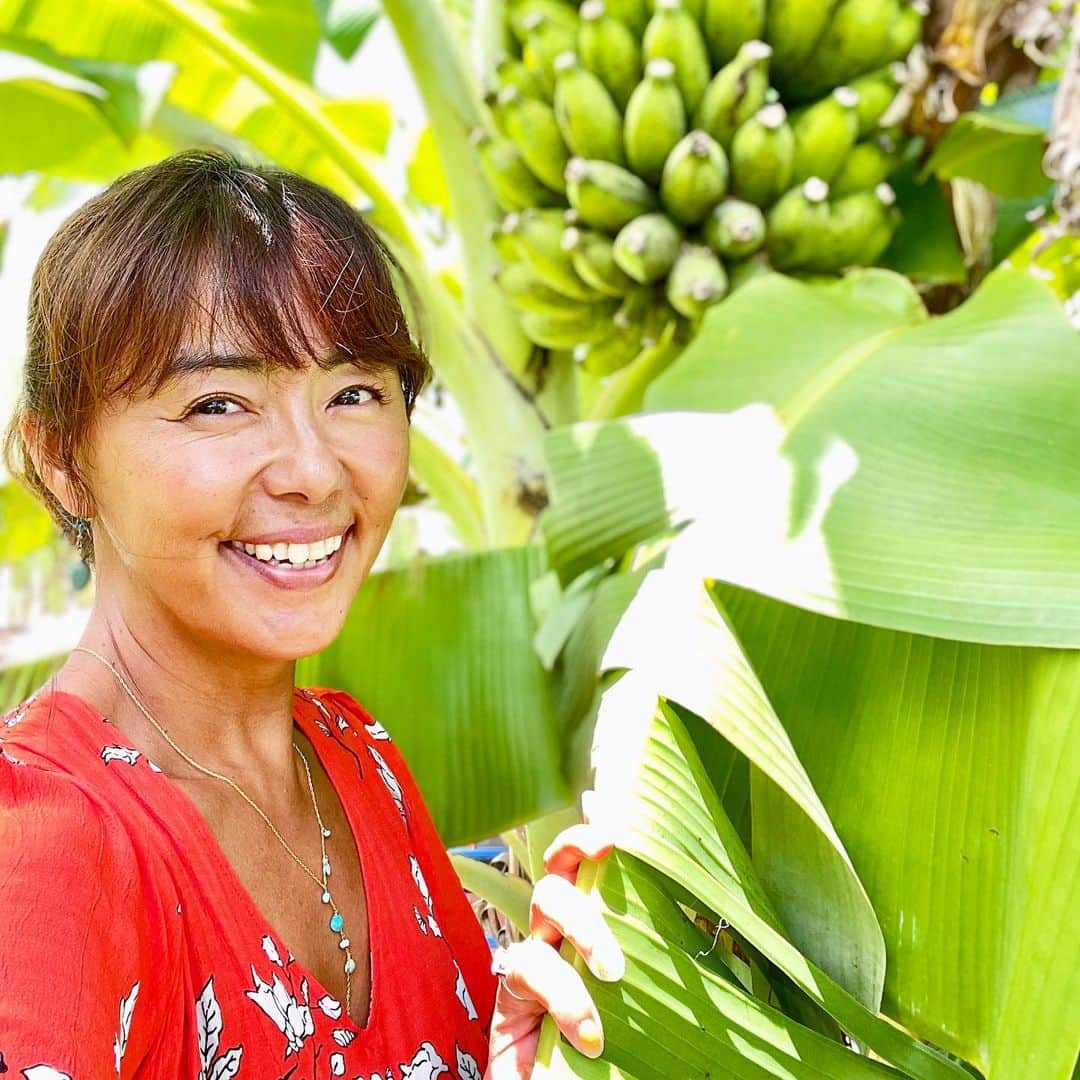 のインスタグラム：「我が家のバナナ🍌🍌🍌🍌🍌 スクスクと絶賛成長中🍌🍌🍌🍌🍌🍌🍌🍌🍌🍌🍌🍌  早く収穫したくてウズウズ🤣 まだもうちょい太らせます🍌🍌🍌🍌🍌🍌🍌🍌🍌  ワンピース👗 @leona_surf ❤️ ネックレス　@mauimarioceanjewelry ❤️  #okinawa  #okinawalife  #beachlife  #banana  #mygarden  #organic  #バナナ大好き  #自家製バナナ  #無農薬」